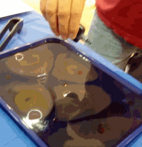 BBU marbling 2