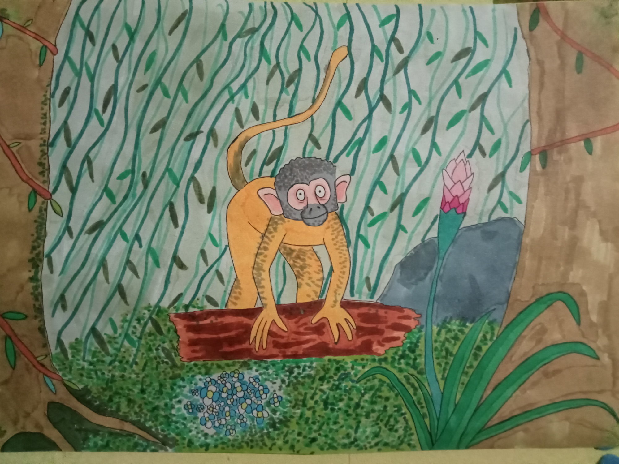 Monkey Central - Gerard Bell Fife Gerard Bell Fife Monkey Central