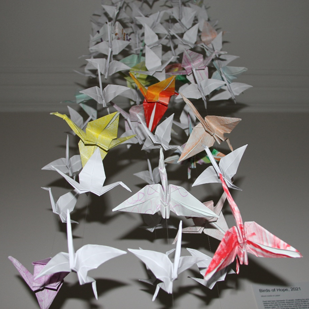 Birds of Hope