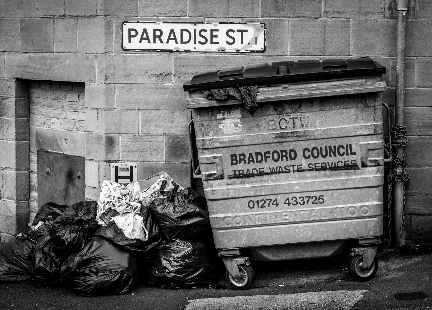 Bin Day
