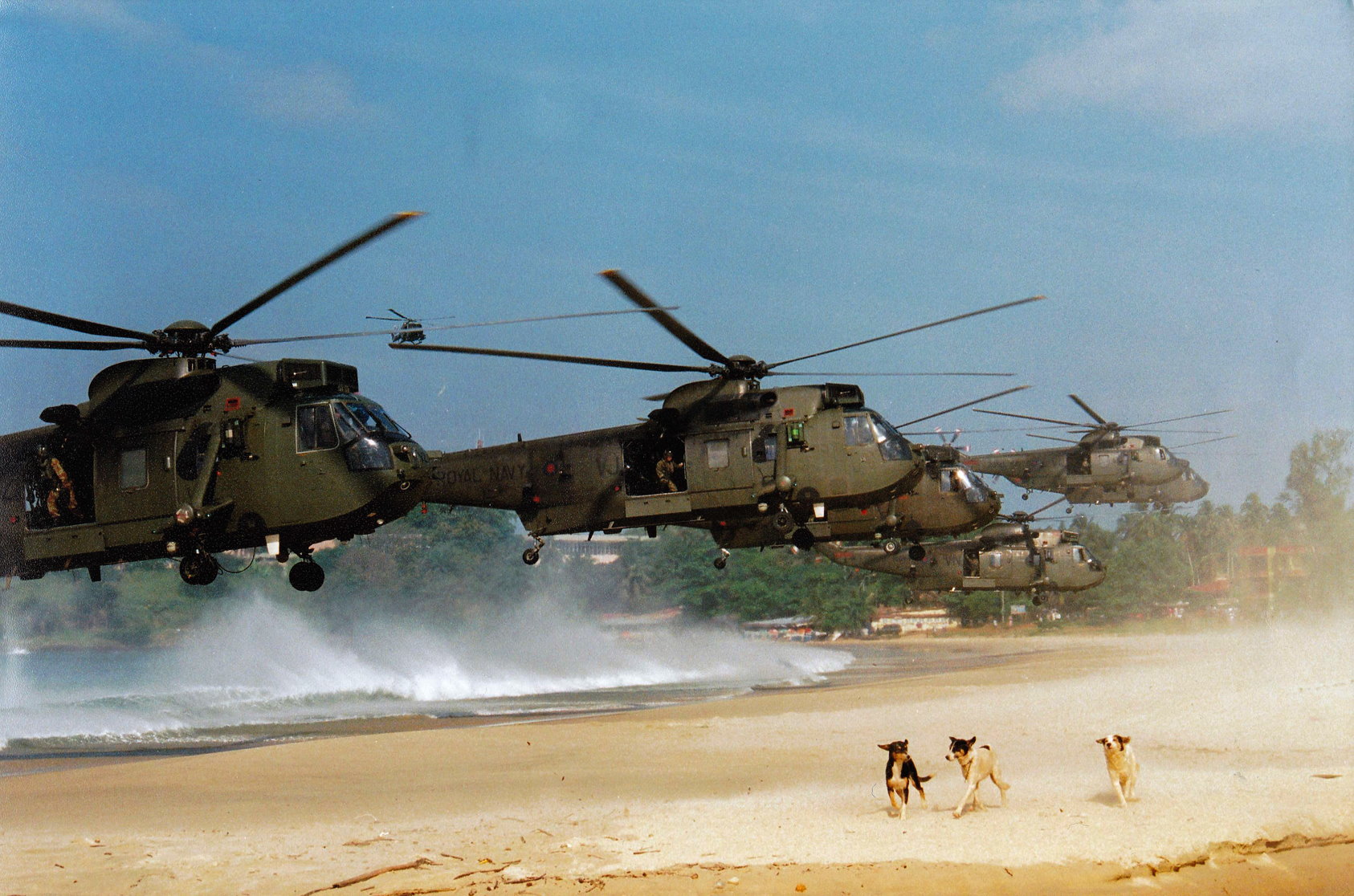 Mark Revill, Dogs of War